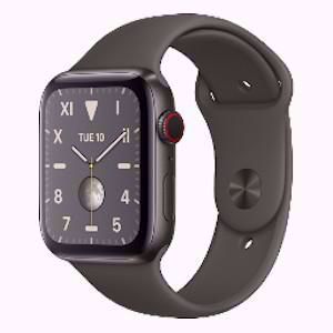 APPLE WATCH S5 GPS+4G TITANIUM 40 MM