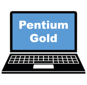 Asus ChromeBook Series Pentium Gold