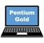Envy Series Pentium Gold